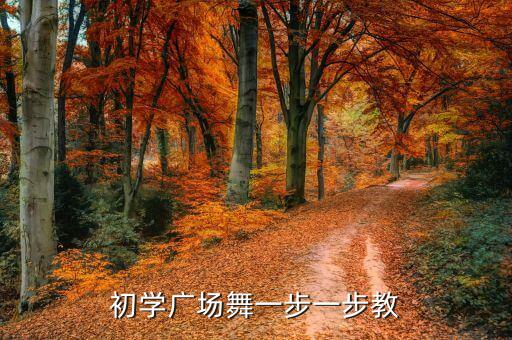 一步一步学广场舞视频，广场舞动作一步一步文字教学方法