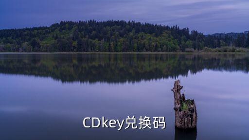 CDkey兑换码