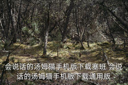 会说话的汤姆猫手机版下载塞班 会说话的汤姆猫手机版下载通用版