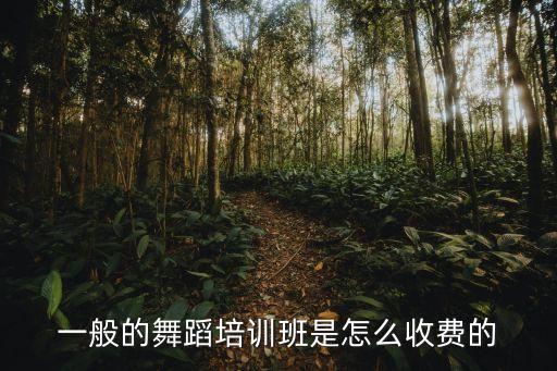 一般的舞蹈培训班是怎么收费的