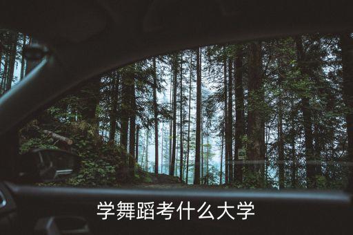 学舞蹈考什么大学