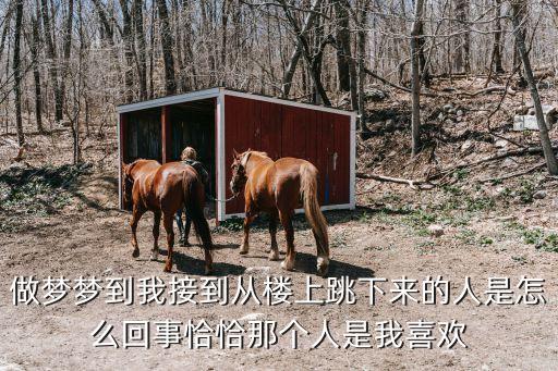 做梦梦到我接到从楼上跳下来的人是怎么回事恰恰那个人是我喜欢
