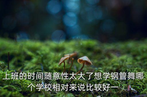 上班的时间随意性太大了想学钢管舞哪个学校相对来说比较好一