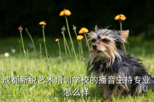 成都新锐艺术培训学校的播音主持专业怎么样