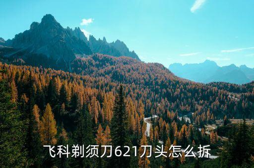 飞科剃须刀621刀头怎么拆