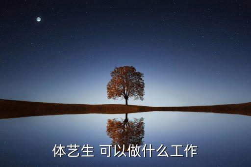体艺生 可以做什么工作