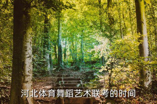 河北体育舞蹈艺术联考的时间