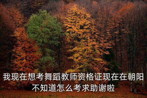 我现在想考舞蹈教师资格证现在在朝阳不知道怎么考求助谢啦
