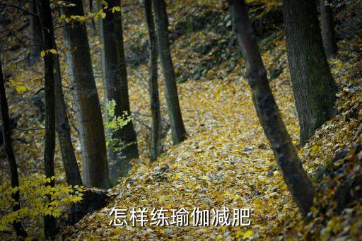 减肥塑形瑜伽视频教程，整套初学瑜伽减肥视频