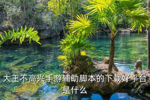 大王不高兴手游辅助脚本的下载好平台是什么