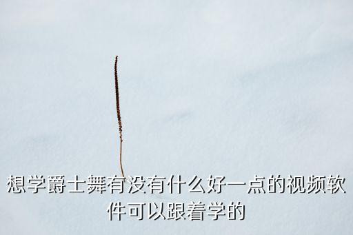 哪个软件舞蹈软件有爵士舞，哪个网站下载的爵士舞视频多
