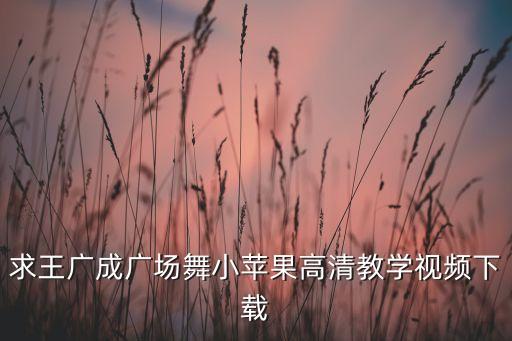 求王广成广场舞小苹果高清教学视频下载