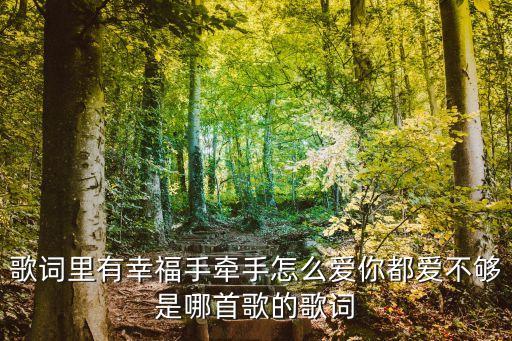 歌词里有幸福手牵手怎么爱你都爱不够是哪首歌的歌词