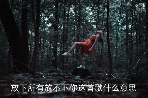 放下所有放不下你这首歌什么意思