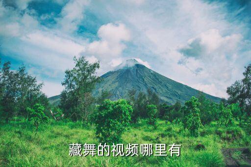 藏舞广场舞蹈视频大全完整版，藏舞的视频哪里有