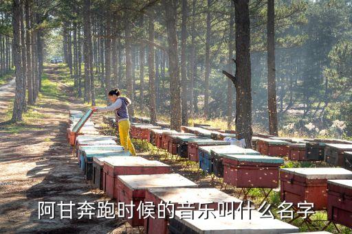 阿甘奔跑时候的音乐叫什么名字