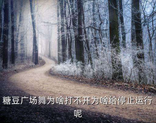 糖豆广场舞为啥打不开为啥给停止运行呢