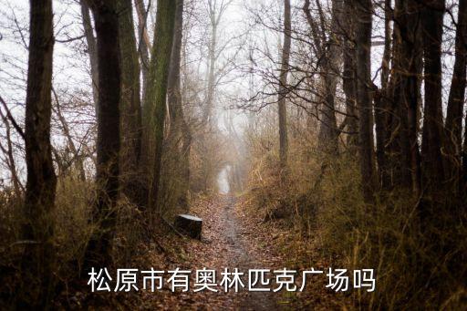 松原市有奥林匹克广场吗