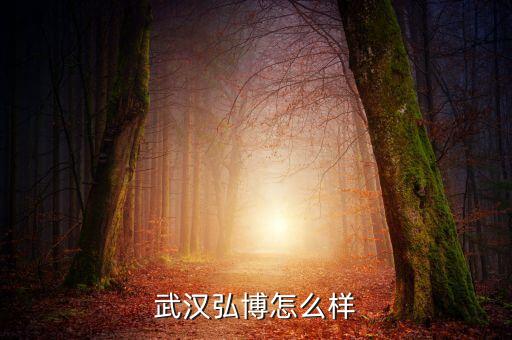 武汉弘博怎么样