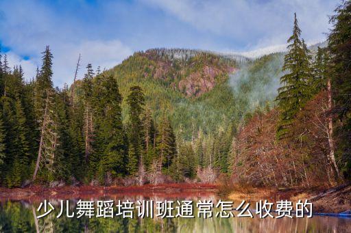 少儿舞蹈培训班通常怎么收费的