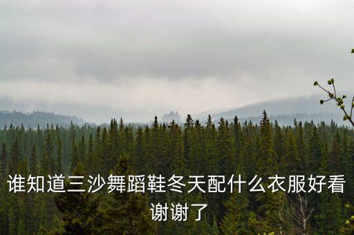 谁知道三沙舞蹈鞋冬天配什么衣服好看 谢谢了