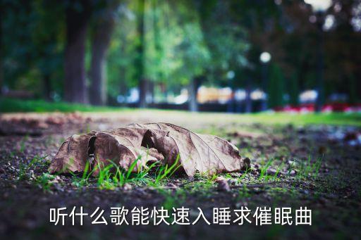 听什么歌能快速入睡求催眠曲