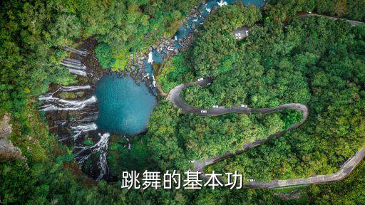 跳舞的基本功