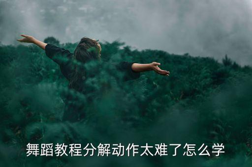 舞蹈教程分解动作太难了怎么学