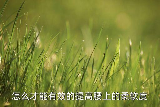 怎么才能有效的提高腰上的柔软度