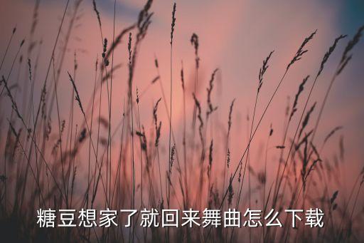 糖豆想家了就回来舞曲怎么下载