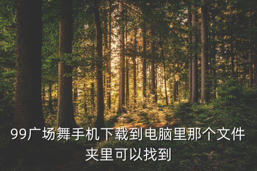 99广场舞手机下载到电脑里那个文件夹里可以找到