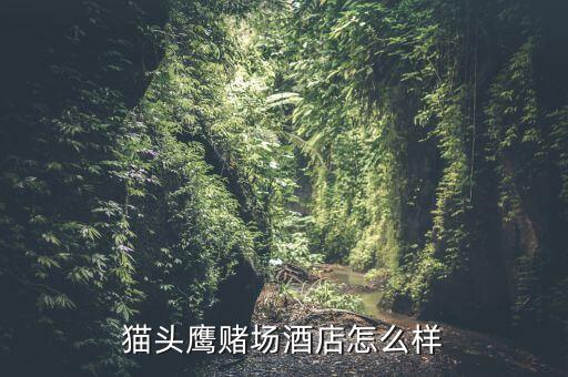 街舞前台需要怎么说，猫头鹰赌场酒店怎么样