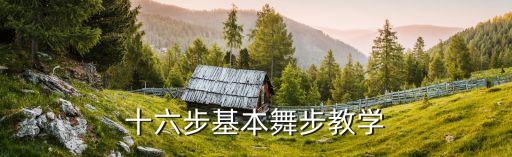 十四步双人舞一步一步教，怎么学跳14步