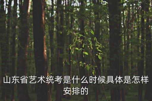 山东省艺术统考是什么时候具体是怎样安排的