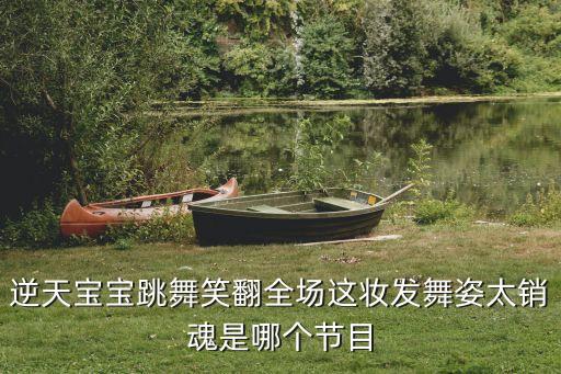 逆天宝宝跳舞笑翻全场这妆发舞姿太销魂是哪个节目