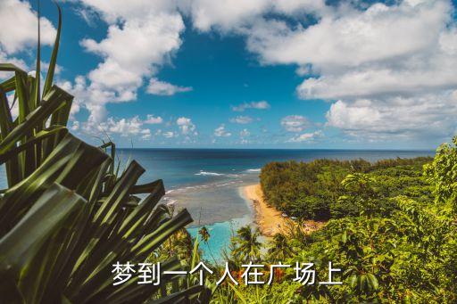 梦见广场怎么走，8 1 广场怎么走