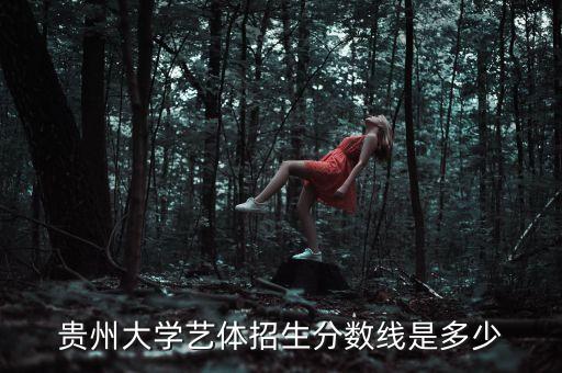 贵州大学艺体招生分数线是多少