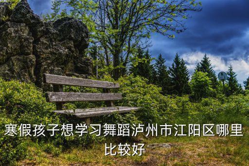 寒假孩子想学习舞蹈泸州市江阳区哪里比较好