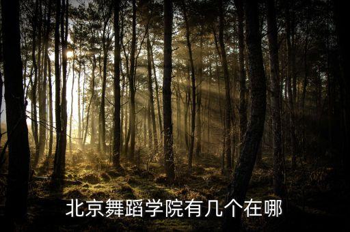 北京芭蕾舞学院在哪里，北京舞蹈学院在哪里