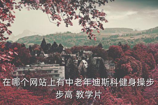 在哪个网站上有中老年迪斯科健身操步步高 教学片