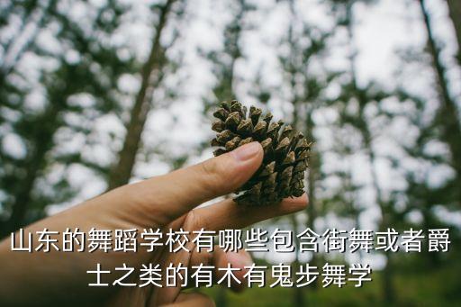 山东的舞蹈学校有哪些包含街舞或者爵士之类的有木有鬼步舞学