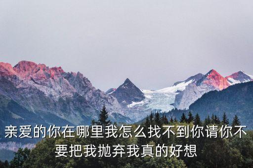 亲爱的你在哪里我怎么找不到你请你不要把我抛弃我真的好想