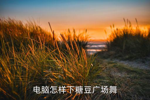 电脑怎样下糖豆广场舞