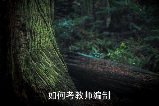 如何考教师编制
