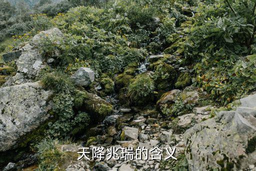 天降吉祥什么意思，天降兆瑞的含义