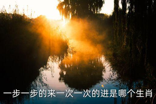 一步一步的来一次一次的进是哪个生肖