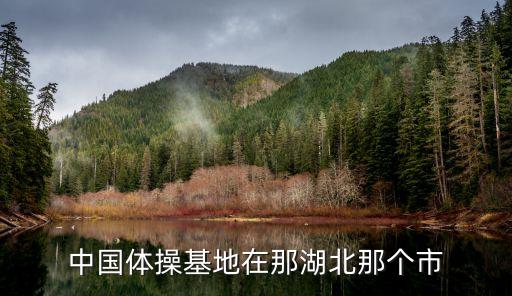 中国体育舞蹈在哪里，中国体操基地在那湖北那个市