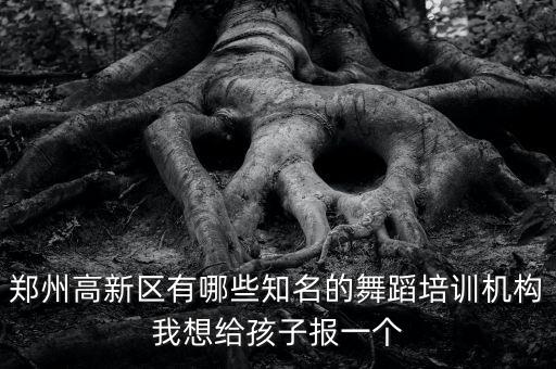 郑州高新区有哪些知名的舞蹈培训机构我想给孩子报一个