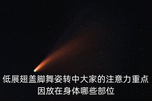低展翅盖脚舞姿转中大家的注意力重点因放在身体哪些部位