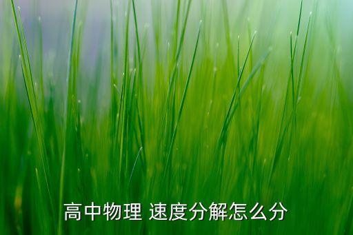 如何分解摩天轮速度，摩天轮高度为108m直径49m做车厢内的乘客每小时可转24圈求